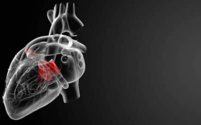 Johnson & Johnson Heart Device Recall Due To Faulty Valve